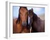 Lovers-Tony Stromberg-Framed Premium Photographic Print