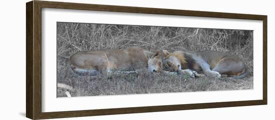 Lovers-Scott Bennion-Framed Photo