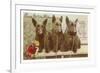 Loving Birthday Wishes, Three Scottie Dogs-null-Framed Premium Giclee Print