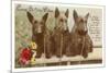 Loving Birthday Wishes, Three Scottie Dogs-null-Mounted Premium Giclee Print