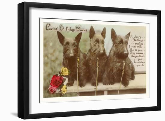 Loving Birthday Wishes, Three Scottie Dogs-null-Framed Art Print