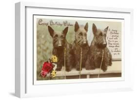 Loving Birthday Wishes, Three Scottie Dogs-null-Framed Art Print