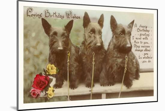 Loving Birthday Wishes, Three Scottie Dogs-null-Mounted Art Print