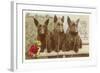 Loving Birthday Wishes, Three Scottie Dogs-null-Framed Art Print