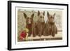 Loving Birthday Wishes, Three Scottie Dogs-null-Framed Art Print