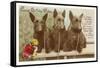 Loving Birthday Wishes, Three Scottie Dogs-null-Framed Stretched Canvas