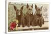 Loving Birthday Wishes, Three Scottie Dogs-null-Stretched Canvas