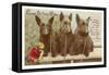 Loving Birthday Wishes, Three Scottie Dogs-null-Framed Stretched Canvas