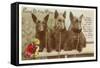 Loving Birthday Wishes, Three Scottie Dogs-null-Framed Stretched Canvas