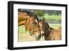 Loving Mare and Foal-null-Framed Art Print