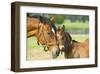 Loving Mare and Foal-null-Framed Art Print