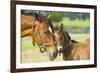 Loving Mare and Foal-null-Framed Art Print