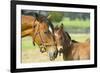 Loving Mare and Foal-null-Framed Art Print