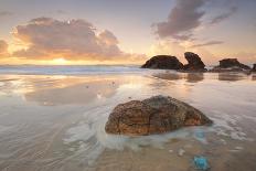 Blue Blubber Jelliyfish at Sunrise-lovleah-Photographic Print