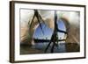 Low Angle of Grey Heron Feet (Ardea Cinerea), Leaping to Attack Gret White Egret (Egretta Alba)-Bence Mate-Framed Photographic Print