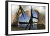 Low Angle of Grey Heron Feet (Ardea Cinerea), Leaping to Attack Gret White Egret (Egretta Alba)-Bence Mate-Framed Photographic Print