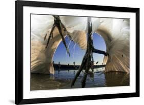 Low Angle of Grey Heron Feet (Ardea Cinerea), Leaping to Attack Gret White Egret (Egretta Alba)-Bence Mate-Framed Photographic Print