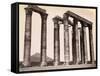 Low Angle Ruins of Corinthian Columns-null-Framed Stretched Canvas