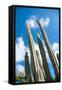 Low Angle View against Coludy Blue Sky of Tall Spiny Organ Pipe Cactus on Aruba Growing on the Ayo-PlusONE-Framed Stretched Canvas