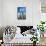 Low Angle View against Coludy Blue Sky of Tall Spiny Organ Pipe Cactus on Aruba Growing on the Ayo-PlusONE-Framed Stretched Canvas displayed on a wall