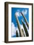 Low Angle View against Coludy Blue Sky of Tall Spiny Organ Pipe Cactus on Aruba Growing on the Ayo-PlusONE-Framed Photographic Print