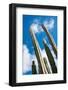 Low Angle View against Coludy Blue Sky of Tall Spiny Organ Pipe Cactus on Aruba Growing on the Ayo-PlusONE-Framed Photographic Print