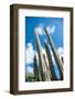 Low Angle View against Coludy Blue Sky of Tall Spiny Organ Pipe Cactus on Aruba Growing on the Ayo-PlusONE-Framed Photographic Print