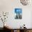 Low Angle View against Coludy Blue Sky of Tall Spiny Organ Pipe Cactus on Aruba Growing on the Ayo-PlusONE-Photographic Print displayed on a wall