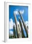 Low Angle View against Coludy Blue Sky of Tall Spiny Organ Pipe Cactus on Aruba Growing on the Ayo-PlusONE-Framed Photographic Print