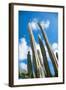 Low Angle View against Coludy Blue Sky of Tall Spiny Organ Pipe Cactus on Aruba Growing on the Ayo-PlusONE-Framed Photographic Print