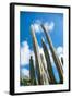 Low Angle View against Coludy Blue Sky of Tall Spiny Organ Pipe Cactus on Aruba Growing on the Ayo-PlusONE-Framed Photographic Print