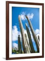 Low Angle View against Coludy Blue Sky of Tall Spiny Organ Pipe Cactus on Aruba Growing on the Ayo-PlusONE-Framed Photographic Print