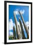 Low Angle View against Coludy Blue Sky of Tall Spiny Organ Pipe Cactus on Aruba Growing on the Ayo-PlusONE-Framed Photographic Print
