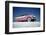 Low-Angle View of a 1954 Ford Fairlane Automobile-Yale Joel-Framed Photographic Print