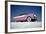 Low-Angle View of a 1954 Ford Fairlane Automobile-Yale Joel-Framed Photographic Print