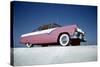 Low-Angle View of a 1954 Ford Fairlane Automobile-Yale Joel-Stretched Canvas