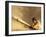 Low Angle View of a Baseball Player Swinging a Baseball Bat-null-Framed Premium Photographic Print