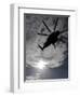 Low Angle View of a Ch-53E Super Stallion Helicopter in Flight-null-Framed Photographic Print