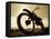 Low Angle View of a Dirt Bike-null-Framed Stretched Canvas