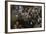 Low-Angle View of a Group of People as They Sing Along with a Pianist in a Unidentified Bar, 1959-Yale Joel-Framed Photographic Print