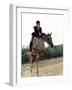 Low Angle View of a Jockey And a Horse Jumping Over a Hurdle-null-Framed Photographic Print