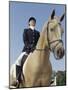 Low Angle View of a Jockey Sitting on a Horse-null-Mounted Photographic Print