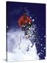 Low Angle View of a Man Skiing-null-Stretched Canvas