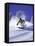 Low Angle View of a Man Skiing-null-Framed Stretched Canvas