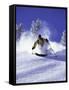 Low Angle View of a Man Skiing-null-Framed Stretched Canvas