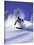 Low Angle View of a Man Skiing-null-Stretched Canvas