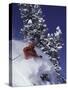 Low Angle View of a Man Skiing-null-Stretched Canvas