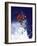 Low Angle View of a Man Skiing-null-Framed Photographic Print