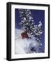 Low Angle View of a Man Skiing-null-Framed Photographic Print