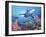 Low Angle View of a Shark Swimming Underwater, Indo-Pacific Ocean-null-Framed Premium Photographic Print